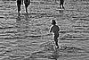 IMG_2691_mv.jpg