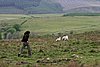 IMG_1976.JPG