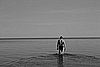 IMG_2680_mv.jpg