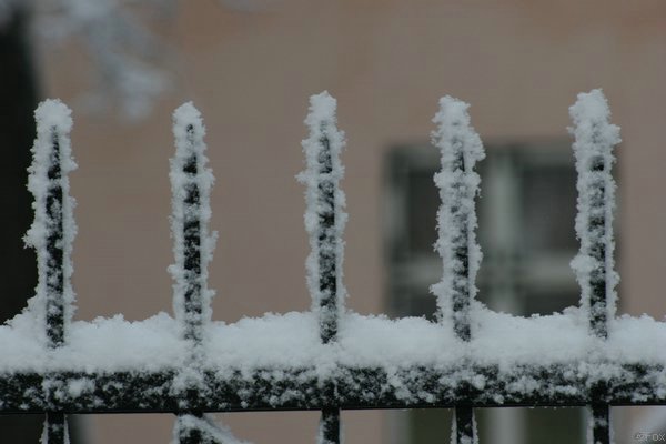 IMG_0122.JPG