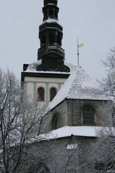 IMG_0166.JPG