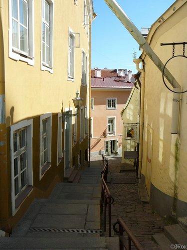 P1000009.JPG