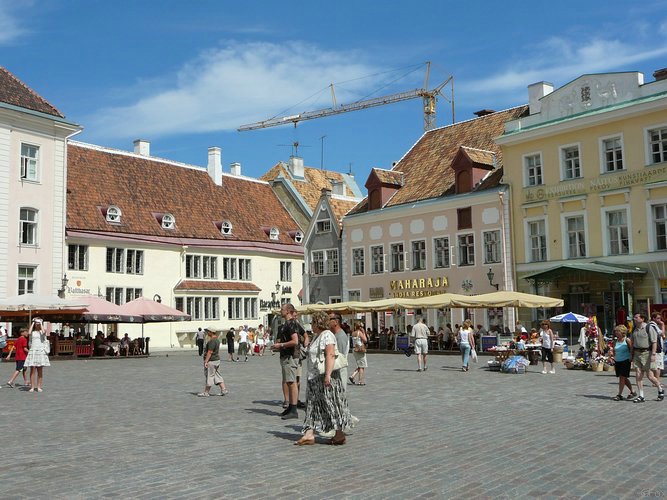 P1000061.JPG