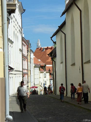 P1000074.JPG