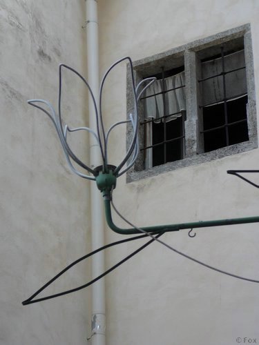 P1000082.JPG