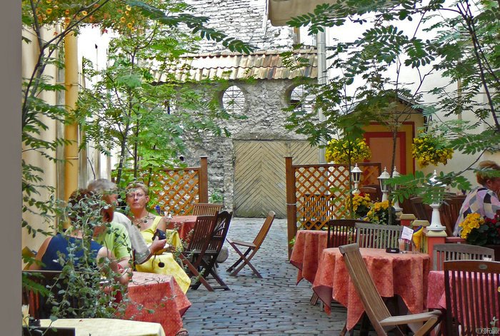P1000083.JPG