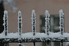 IMG_0122.JPG