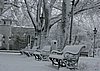 IMG_0136.JPG