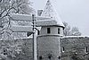 IMG_0145.JPG