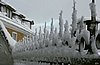 IMG_0161.JPG