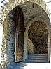 P1000008.jpg