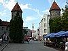 P1000045.JPG