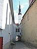 P1000078.JPG