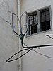 P1000082.JPG