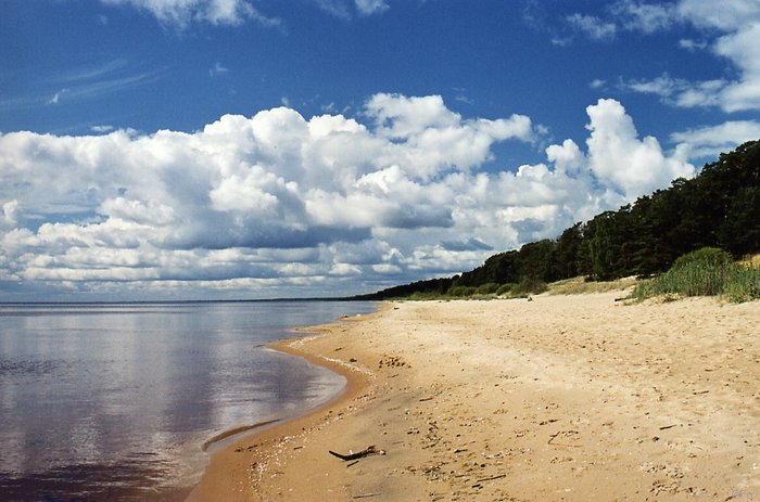 File0101.jpg