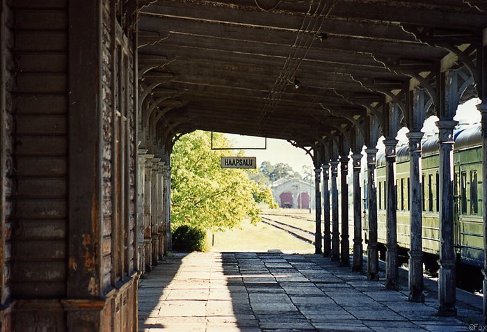 File0105.jpg