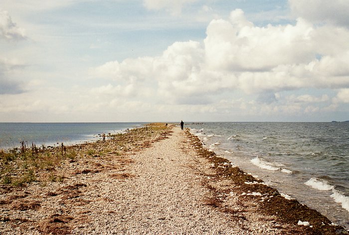 File0124.jpg