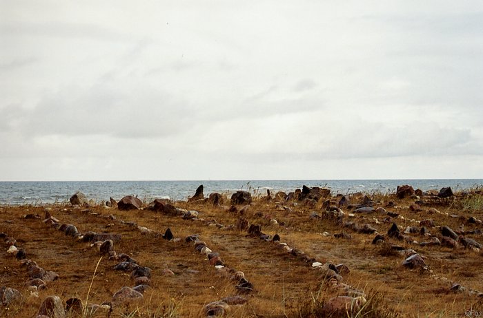 File0131.jpg