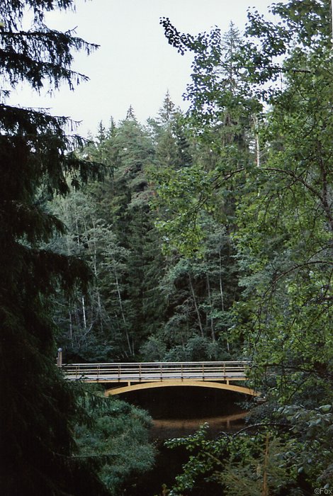 File0142.jpg