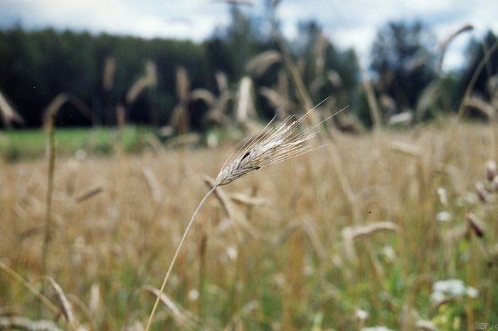 File0169.jpg