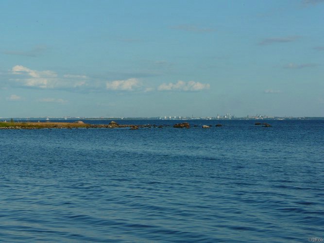 P1000154.JPG