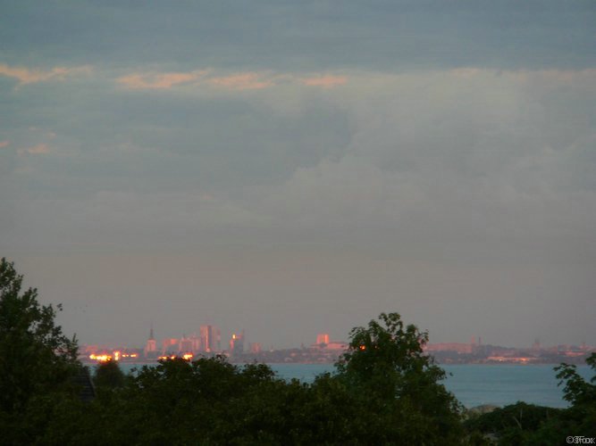 P1000217.JPG