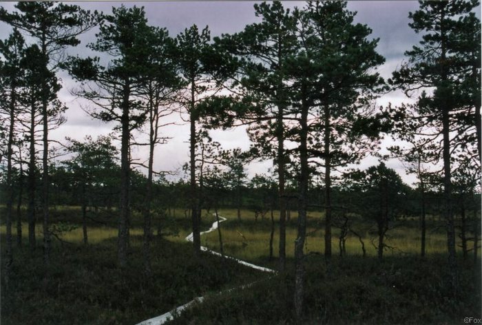 soomaa2.jpg