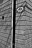 150505076_mv.jpg