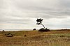 File0096.jpg