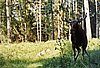 File0162.jpg