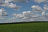 IMG_2555.JPG