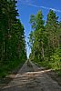 IMG_2654_1.jpg
