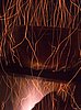IMG_3616.jpg