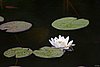 IMG_9893.jpg