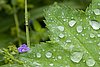 IMG_9895.jpg
