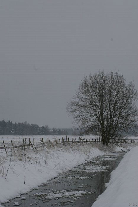 IMG_00093.JPG