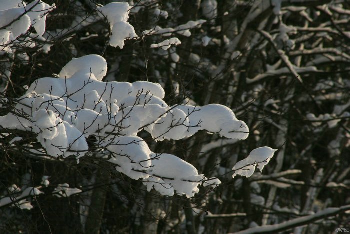 IMG_0034.JPG