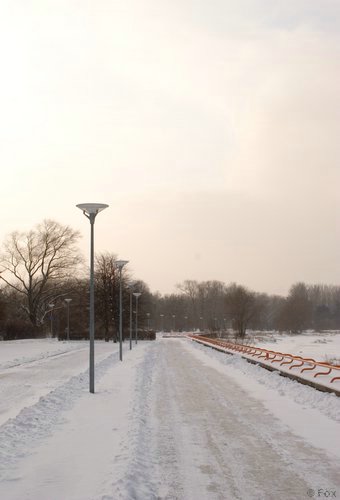 IMG_8426.jpg