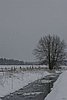 IMG_00093.JPG