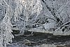 IMG_0022.JPG