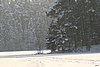 IMG_0033.JPG