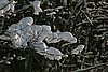 IMG_0034.JPG