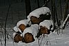 IMG_0057.JPG