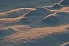 IMG_0066.JPG