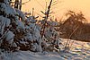 IMG_0078.JPG