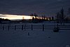 IMG_5585.jpg