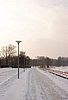 IMG_8426.jpg
