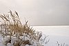 IMG_8431.jpg