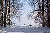 IMG_8831.jpg