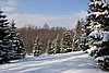 IMG_8833.jpg